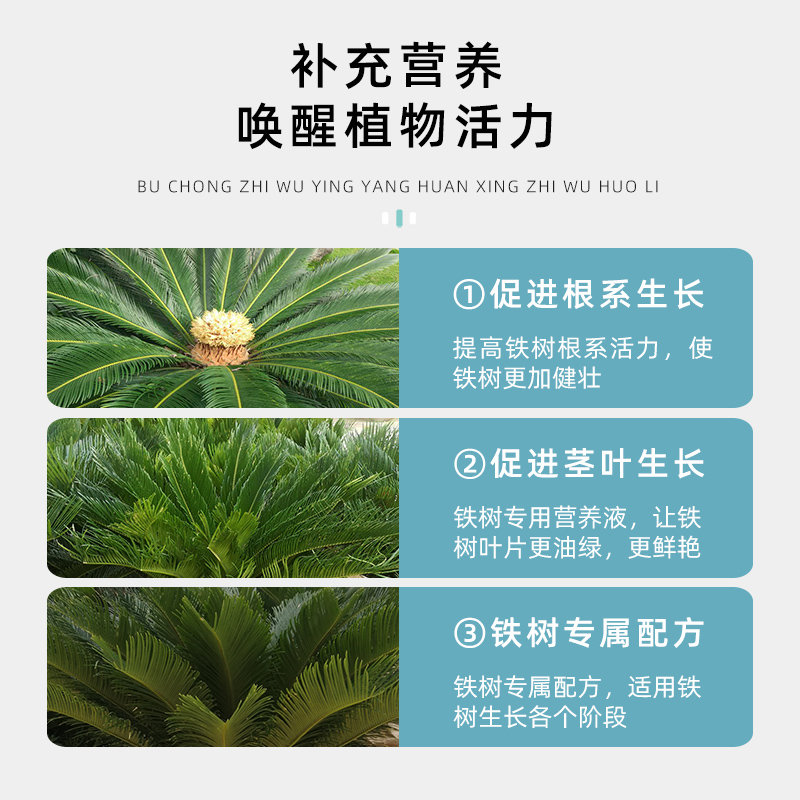 花植库铁树黄叶专用营养液铁树盆景焦尖干枯肥料叶子变黄专用肥叶 - 图1