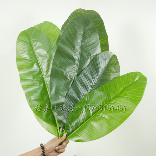 仿真芭蕉叶绿植材料配件植物墙装饰假叶子天堂鸟水果店装饰篮叶子 - 图0