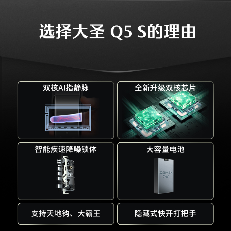 德施曼智能门锁指静脉密码锁家用防盗门全自动电子锁大圣Q5S - 图2