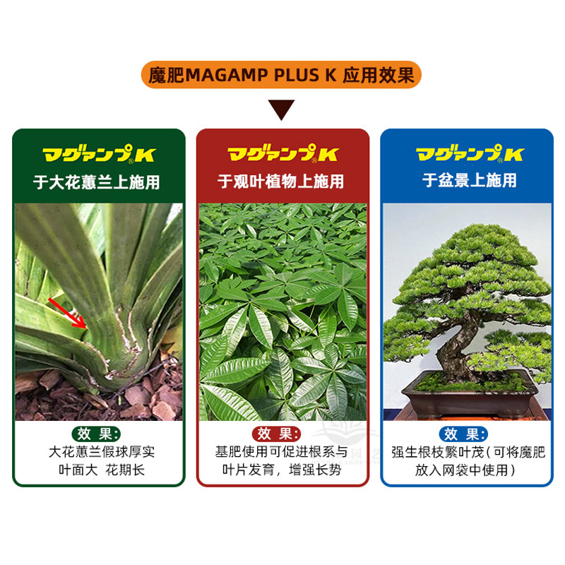 日本魔肥长效颗粒缓释肥月季花肥兰花多肉植物通用型肥料营养球根,淘宝优惠券,粉丝福利购,淘宝优惠卷