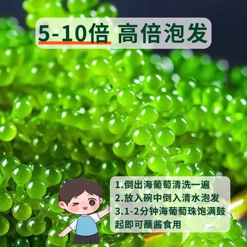 海葡萄儿童即食官方新鲜旗舰店盐渍鱼子酱孩搭海带草丝海藻裙带菜 - 图3