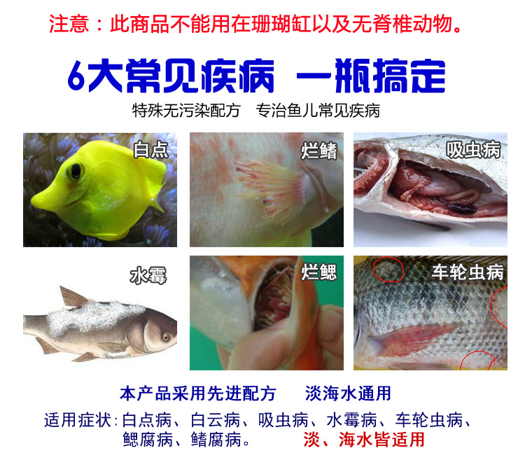 神阳TDC海水鱼检疫药水小丑鱼白膜寄生虫烂肉细菌感染白点鱼药 缸 - 图0