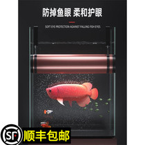 one thousand Fish Atomic Light Case Light Disc Dragon Fish Lamp Special Hair Color Lighting Tube Fish Tank Light Red Gold Dragon Full Spectrum Baking Color Night Light
