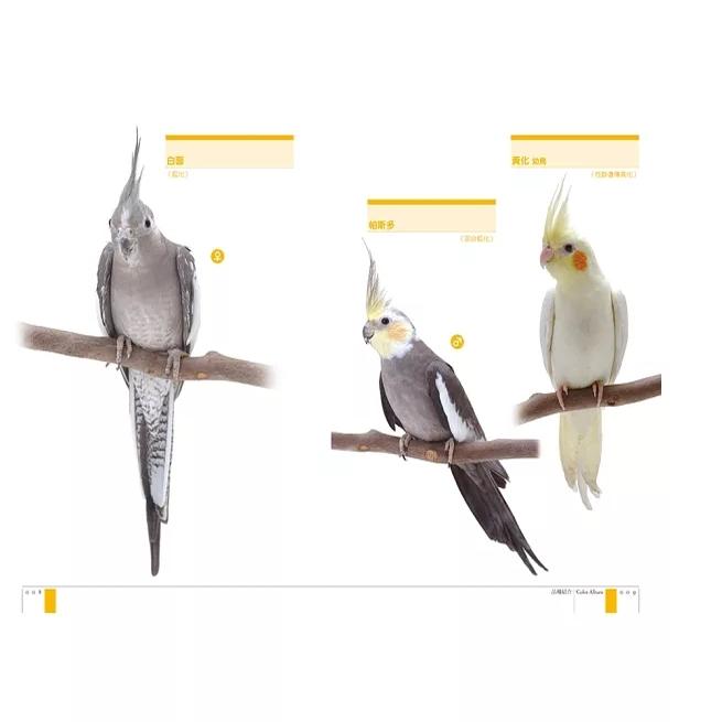 现货 漫爵玄鳯鹦鹉 完全饲养手册:从饲养方法到品种、健康管理、沟通交流 瑞升 铃木莉萌 台版书籍 繁体中文
