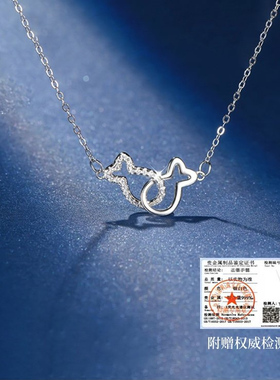 S999纯银项链2026新款轻奢小众高级感锁骨送女朋友情人节礼物闺蜜