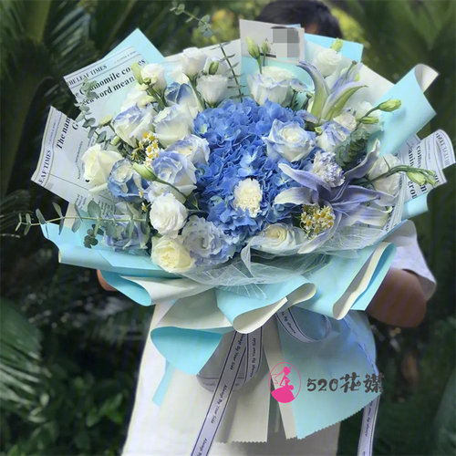 送苏州市姑苏区吴江区常熟市同城鲜花店玫瑰向日葵绣球送朋友生日 - 图0