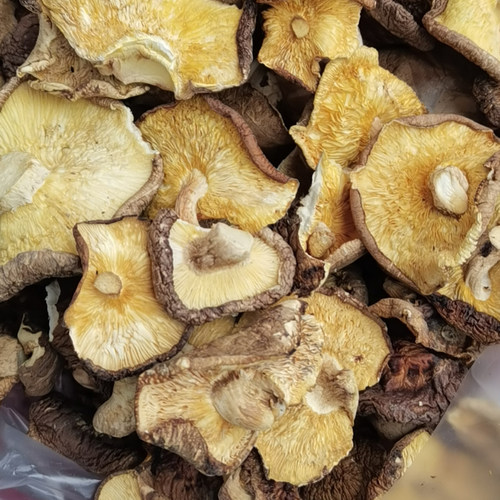 幸福山珍大片馅料食堂饭店香菇碎片薄片大干香菇净重500G 5斤包邮 - 图2