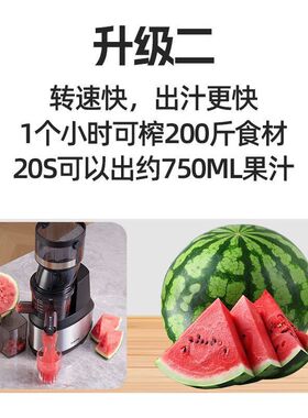 【商用旗舰】狮威特JE-89商用家用纯铜电机大口径榨汁机渣汁分离