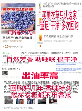 薰衣草干花粒散装填充香包枕头香薰新疆熏衣草精油天然香料