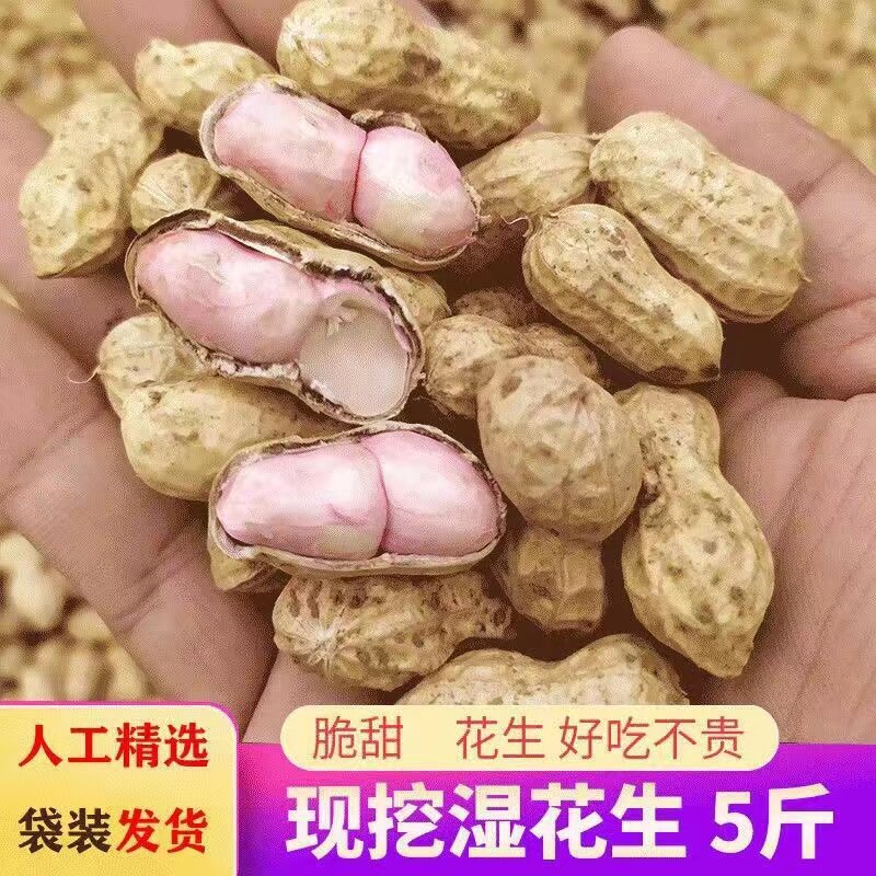 2025年新鲜湿花生5斤现挖现发带壳泥巴花生多粒粉皮可水煮鲜花生,淘宝优惠券,粉丝福利购,淘宝优惠卷