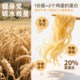 Rooster Italian noodles 500g conveniently imported chewy texture