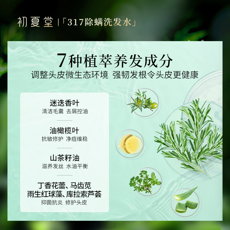 初夏堂317除螨氨基酸痘男女洗发水 初夏堂洗发水