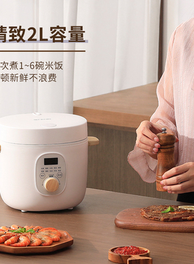 ankale2L智能2-人迷你电饭煲