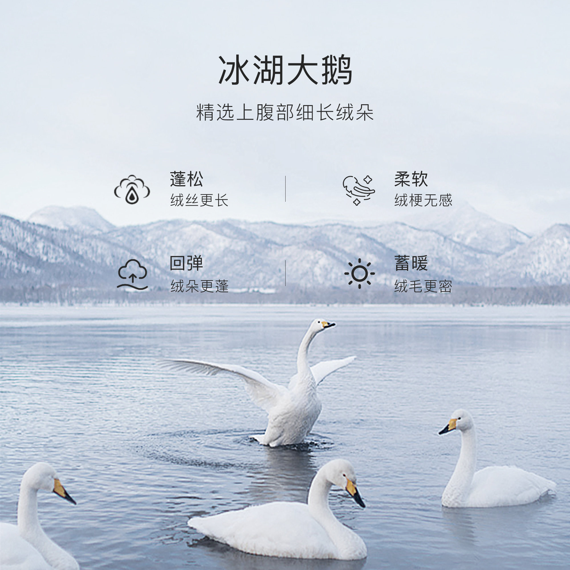 CADIDL卡迪黛尔通勤短款连帽鹅绒轻薄羽绒服女25冬季新款保暖外套,淘宝优惠券,粉丝福利购,淘宝优惠卷