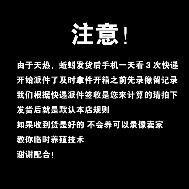 青蚯蚓活体黑蚯蚓鲜活鱼饵农村大蚯蚓活饵臭蚯蚓土蚯蚓钓黄鳝诱饵 - 图2