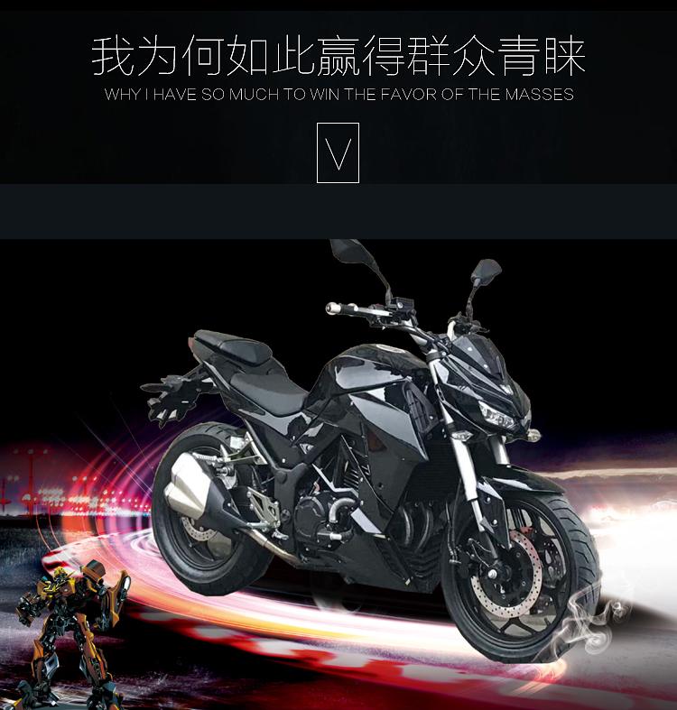 200CC400CC幻影摩托车z1000街车双缸水冷大蟒蛇整车跑车重机车可 - 图1