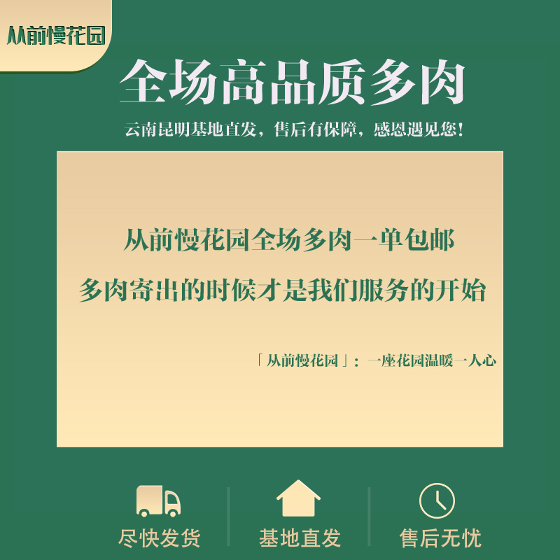 067-欧米娜-从前慢花园东云系多肉植物 - 图3