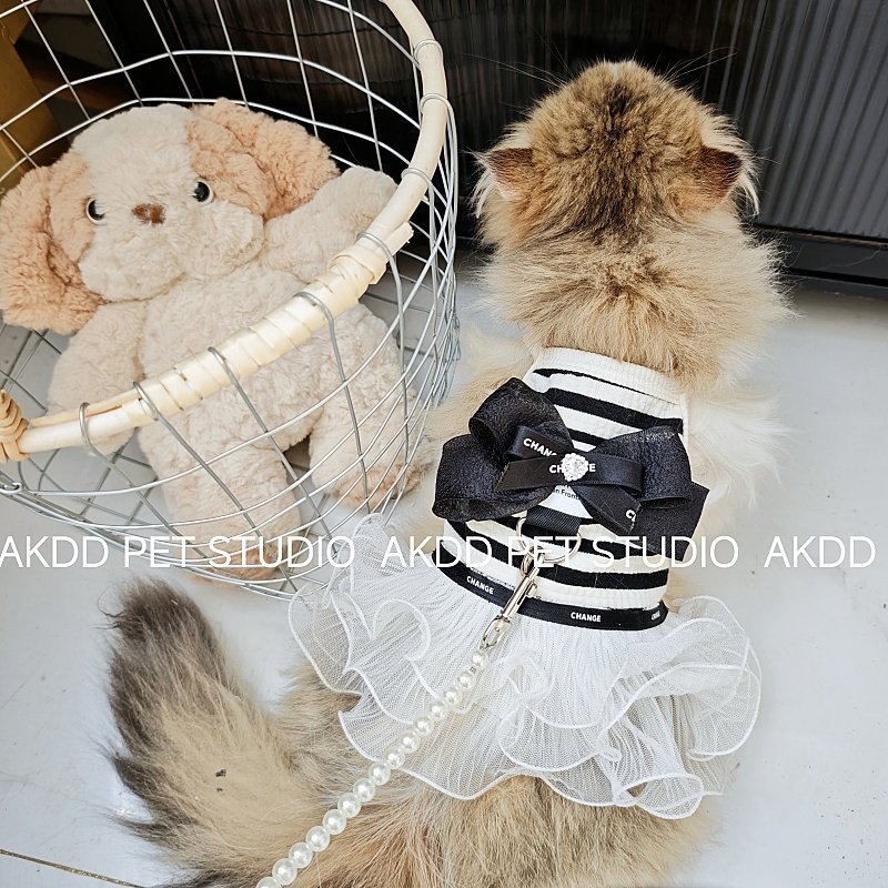 宠物猫咪狗狗小香风公主裙春夏季吊带背心蛋糕裙薄款防掉毛衣服,淘宝优惠券,粉丝福利购,淘宝优惠卷