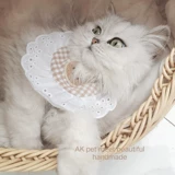 INS WIND Милый маленький медведь кошачья собака собака для сундука для маленькой собаки лучше плюшевые биоби медведя из тяги