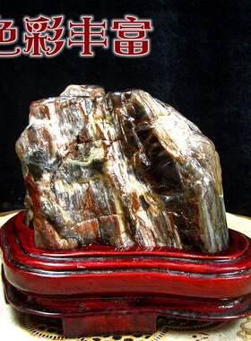 新疆木化石原石桌面摆件