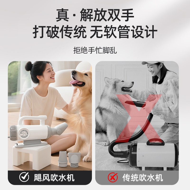 来旺兄弟宠物吹水机狗狗专用大功率吹毛神器洗澡烘干吹风机家用,淘宝优惠券,粉丝福利购,淘宝优惠卷