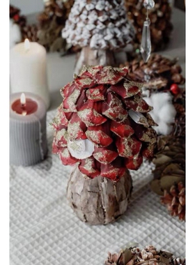 干花ins手工制作松果1