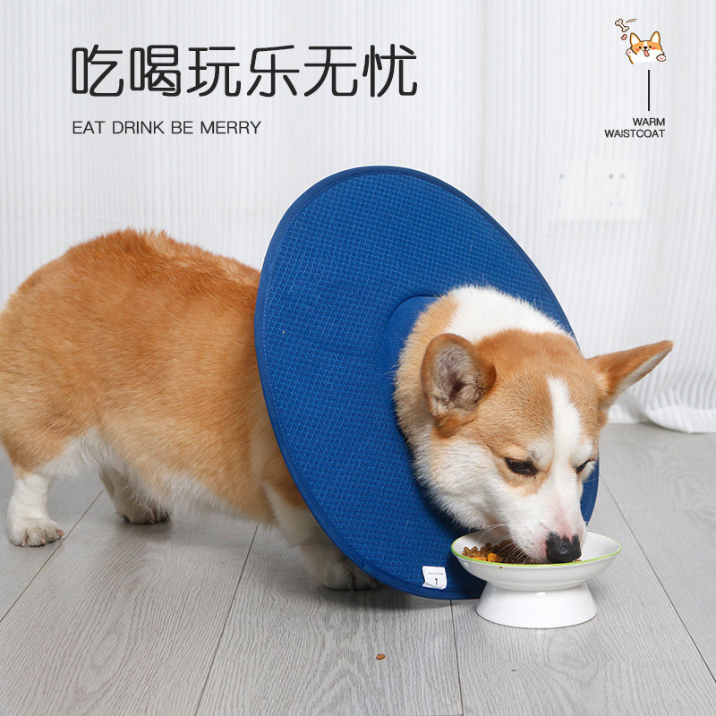 宠物伊丽莎白圈狗狗术后防舔防抓咬项圈中小型犬柯基头套绝育脖圈,淘宝优惠券,粉丝福利购,淘宝优惠卷