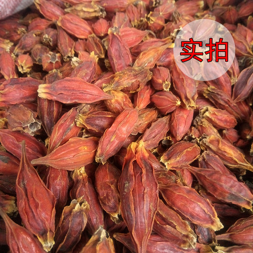 大栀子500g 包邮 水栀子红栀子黄枝子 中药材 正己干货香料大全 - 图0