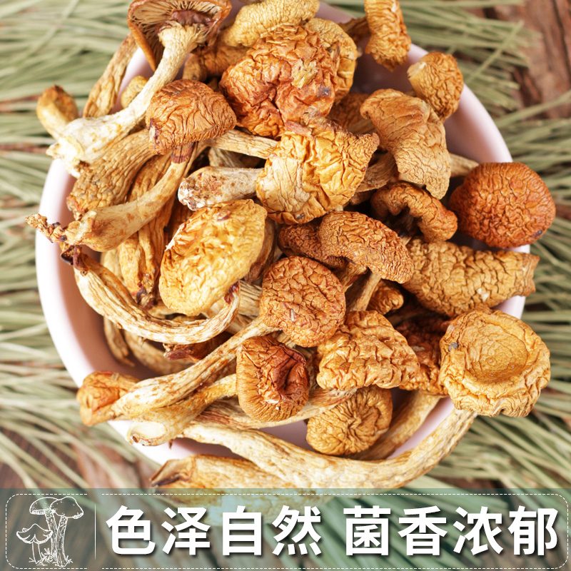 东北滑子菇菇干货小黄磨滑香菇类山菇货小鸡炖蘑 精选滑子菇500g - 图0