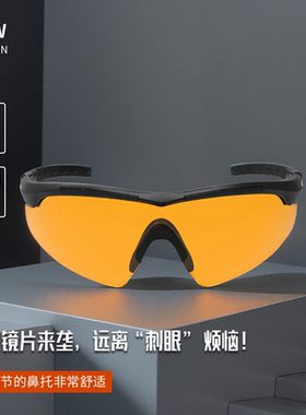 运动墨镜男士防风骑行护目偏光