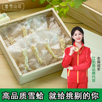 Snow Clam Oil Preparation Treasure small production Changbai Mountain Jilin Traceability Code Certified Forest Frog frog Line Oil Haez Oductus 20 gr gift box