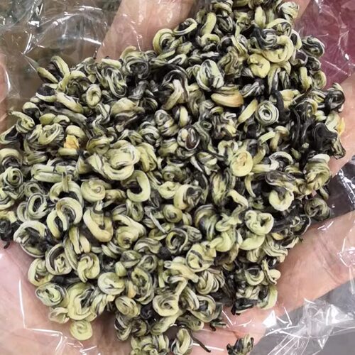 茉莉螺王新茉莉龙珠茶针螺花茶碧螺春三熏 500g克200元广西横县 - 图1