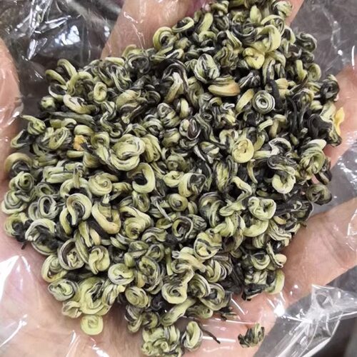 茉莉螺王新茉莉龙珠茶针螺花茶碧螺春三熏 500g克200元广西横县 - 图0