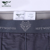 Septwolves, трусы, штаны на все сезоны, дышащие шорты