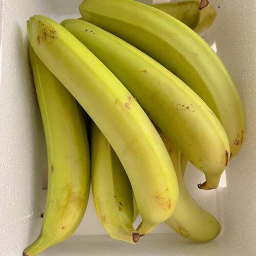 广西本地蕉土香蕉单根香蕉净重当季新鲜纯甜青蕉发货 - 图2
