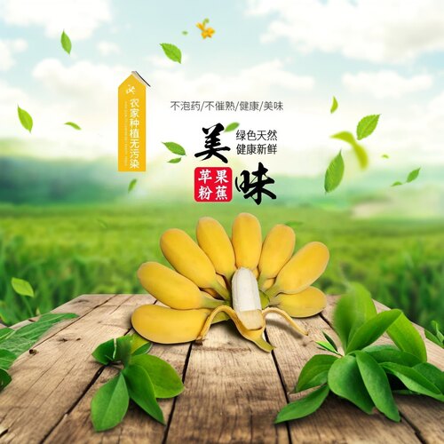 广西正宗苹果蕉粉蕉偏小季节饱满实惠香甜青的发货要催熟蛋蕉 - 图2