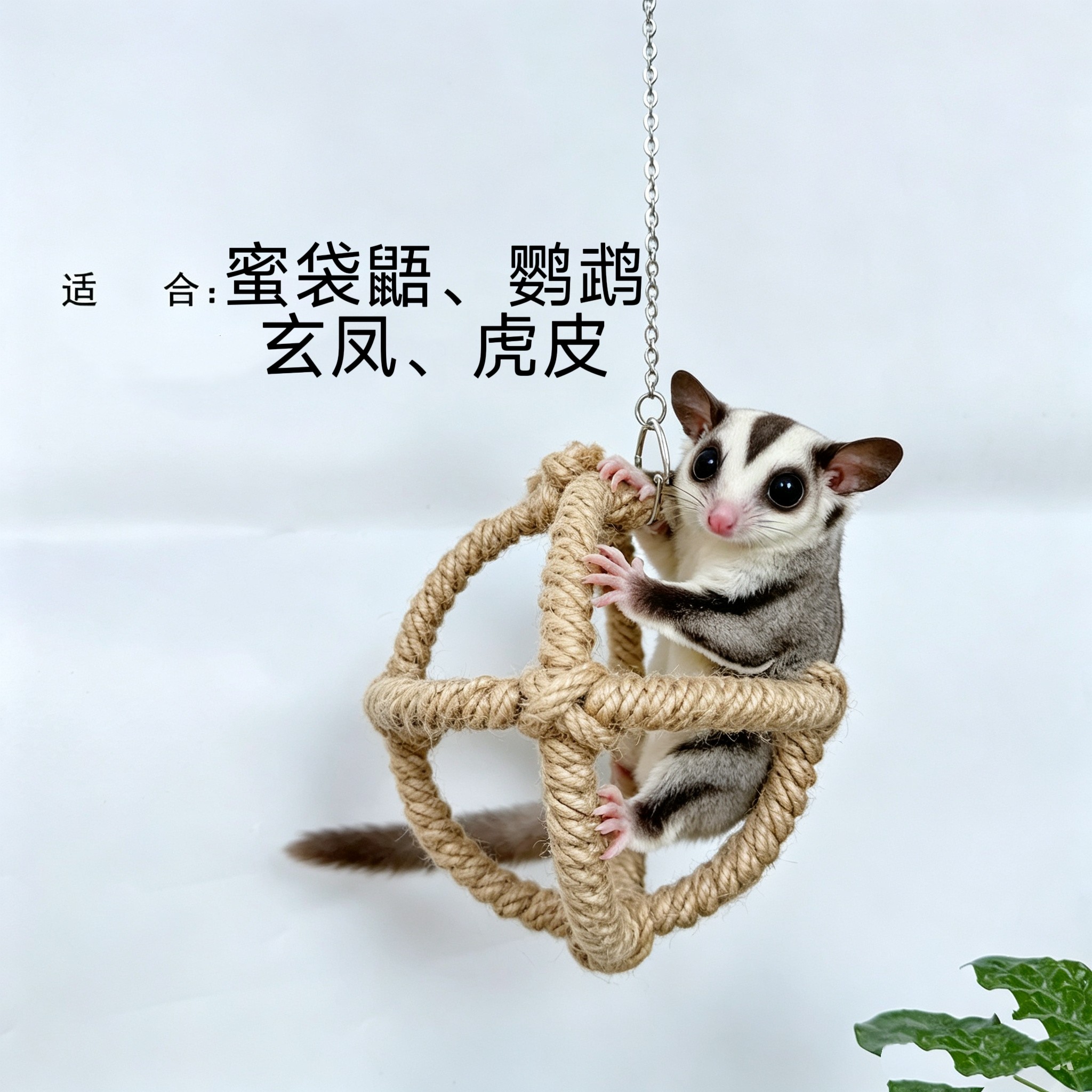 图3