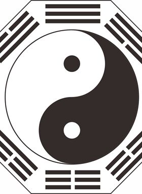 阴阳太极图PVC地贴防滑防水耐磨