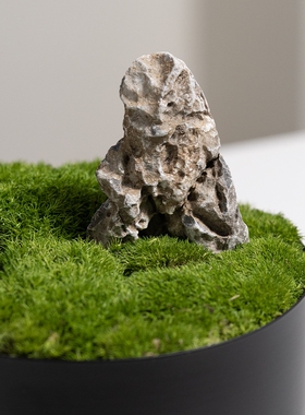 永生青苔苔藓花艺摆件