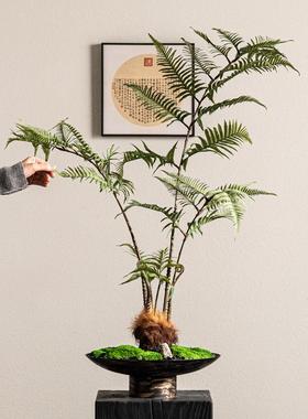 高级感禅意仿真金丝猴永生苔藓金属花盆绿植书房茶室桌面玄关摆件