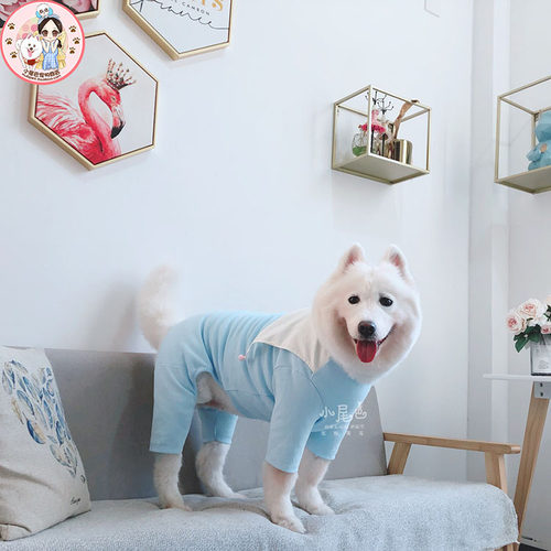 【清仓闭店】中大型犬萨摩金毛大狗小丑春秋保护髋关节四脚衣服 - 图0
