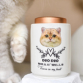 宠物纪念罐火化猫狗定制骨灰盒陶瓷殡葬用品实木照片相框棺材烛台