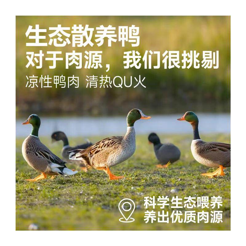 妙斯顿鸭肉梨冻干狗粮去泪痕成幼犬泰迪比熊柯基小型犬通用鲜肉粮,淘宝优惠券,粉丝福利购,淘宝优惠卷