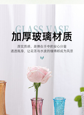 简约玻璃花瓶家居装饰