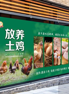 农家土鸡海报壁纸散养土鸡蛋装饰笨鸡蛋广告墙贴自粘贴纸背景墙纸