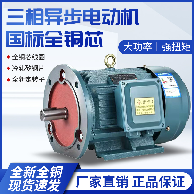 三相电动机Y100L-2 3KW/1.5/2.2/YE3-100L2-4 3KW全新铜马达380V - 图1