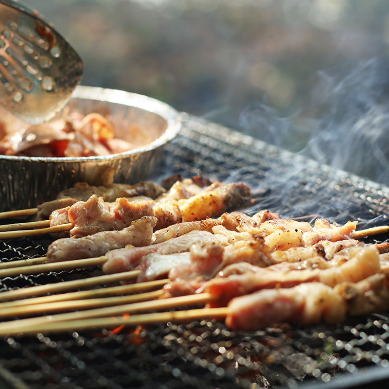 密云农家烧烤食材家庭聚会烤肉套餐半成品羊肉串户外烤串烧烤季-图3