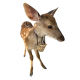 Sente Pure Deer Породоводорожная паста, олень, оленьи кремовые оленя, порошок оленя плод 100 г джилин сика олень