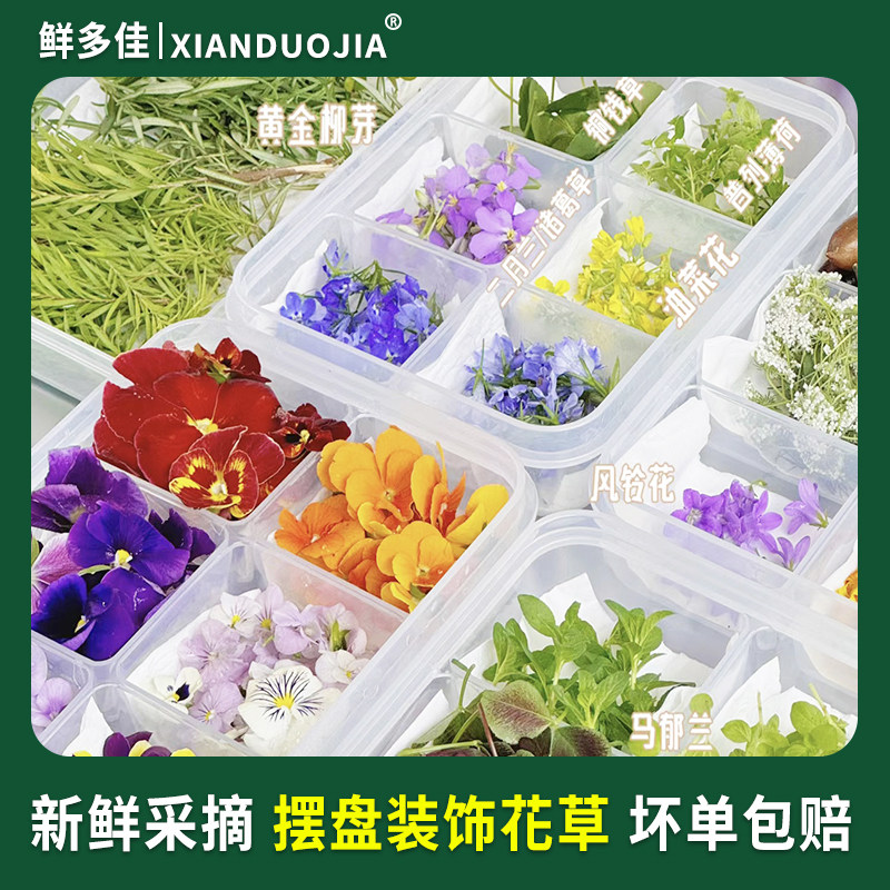 西餐摆盘装饰花草新鲜食用花烘培蛋糕装饰叶子薄荷叶清香木三色堇-图3