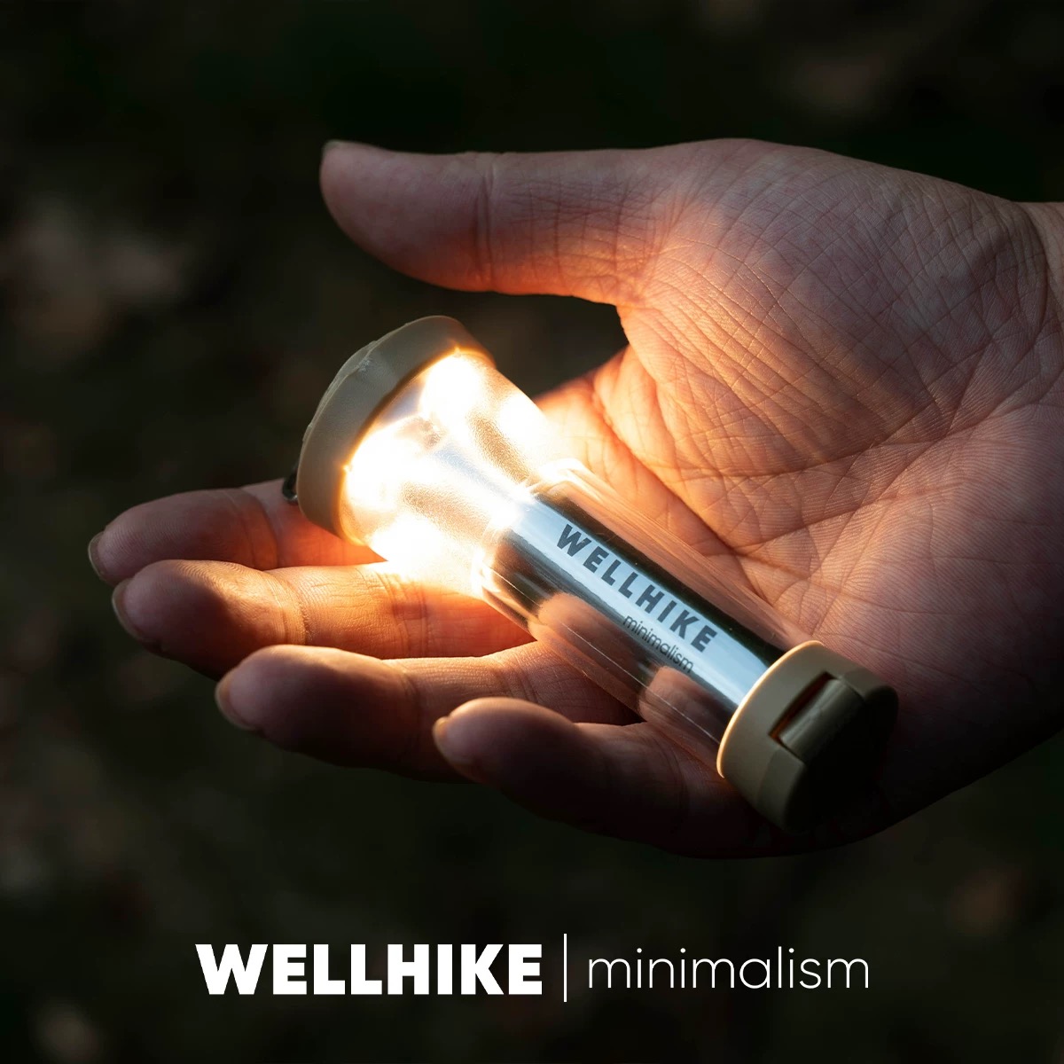 WELLHIKE outdoor GOALZERO light ultra-long battery life led camping tent atmosphere hiking emergency flashlight
